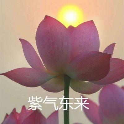 这个民族无论男女，终生不嫁不娶，自由恋爱生子